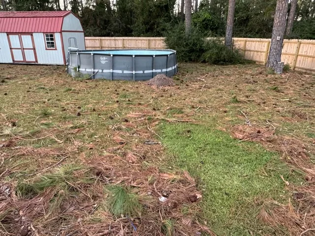 Before: pool-side yard covered in storm debris
